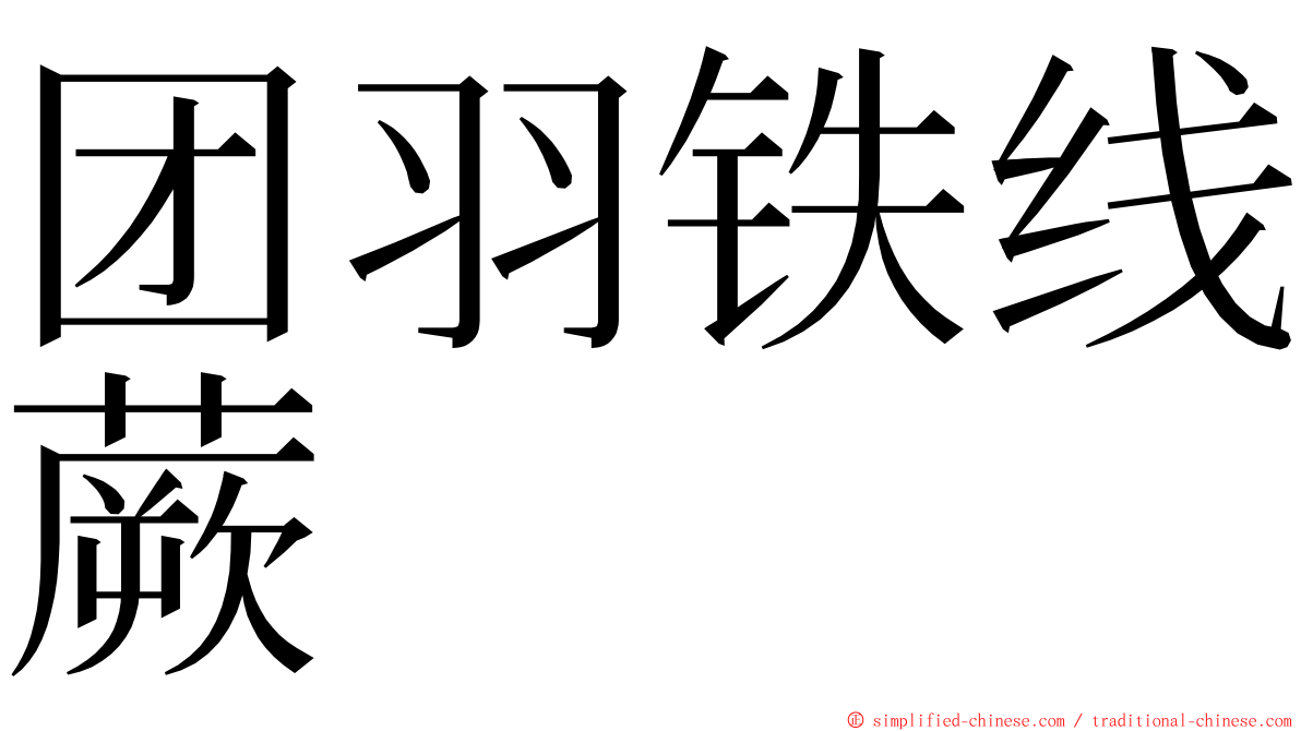 团羽铁线蕨 ming font