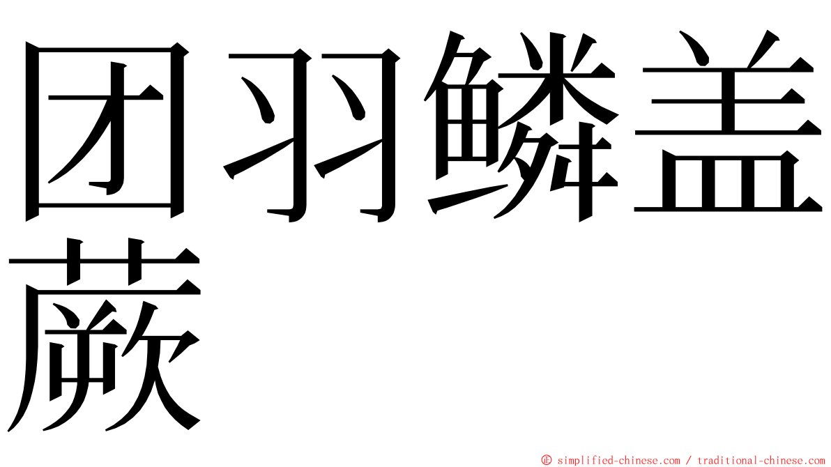 团羽鳞盖蕨 ming font