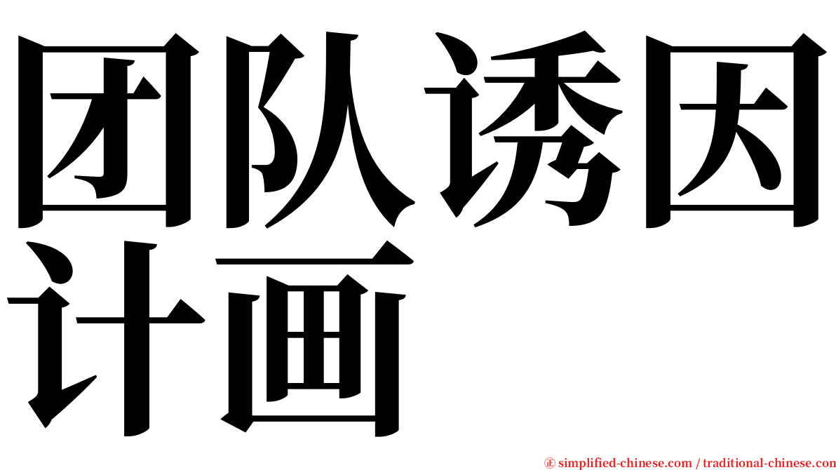 团队诱因计画 serif font