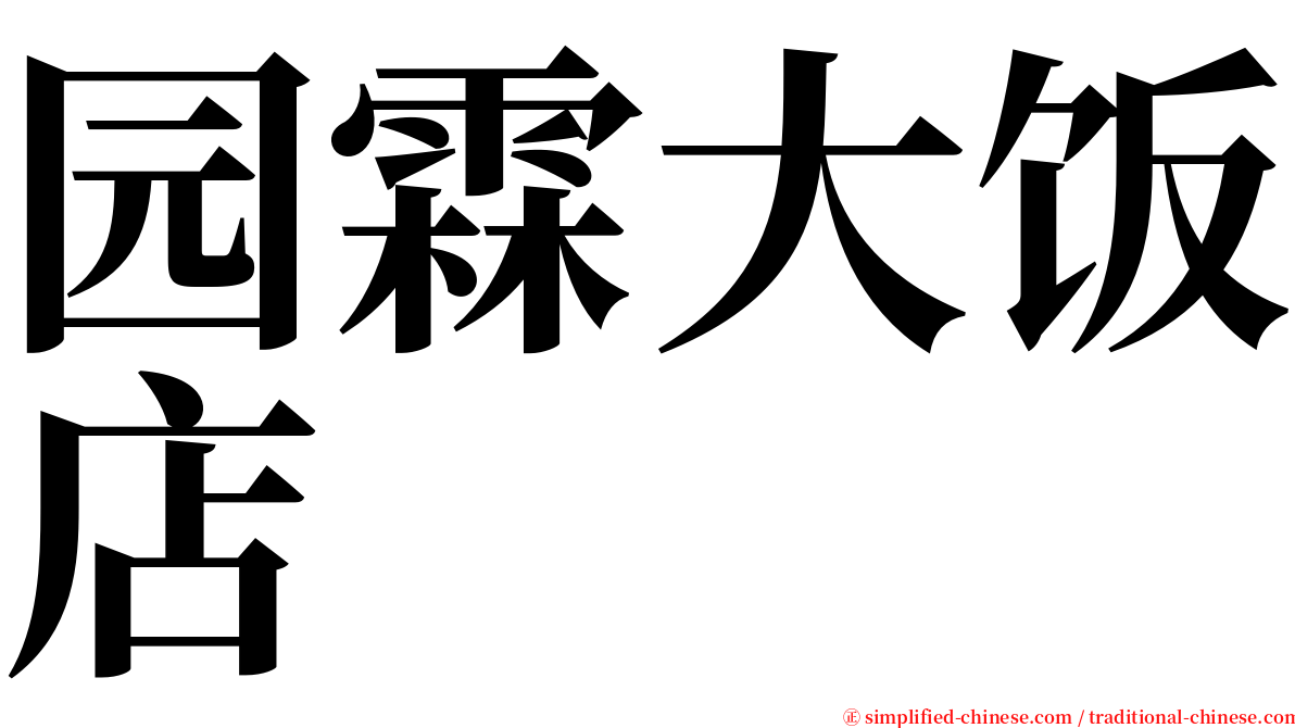 园霖大饭店 serif font