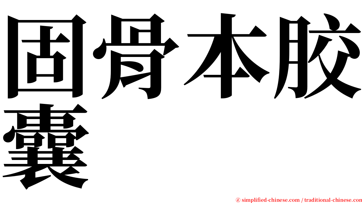 固骨本胶囊 serif font