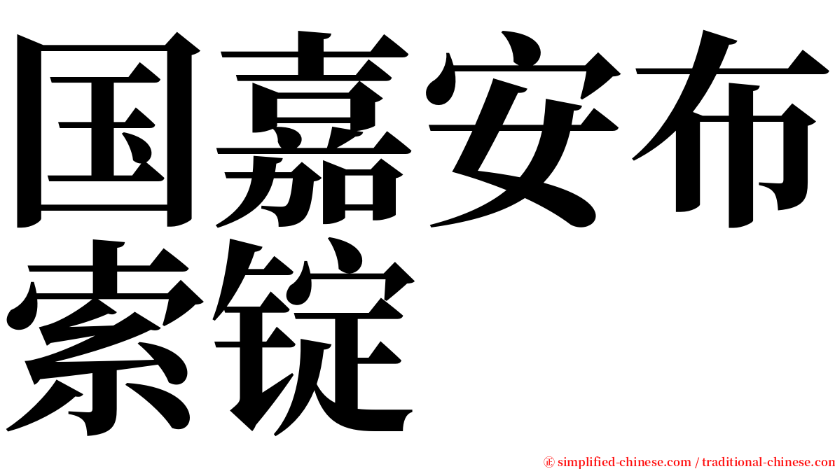 国嘉安布索锭 serif font