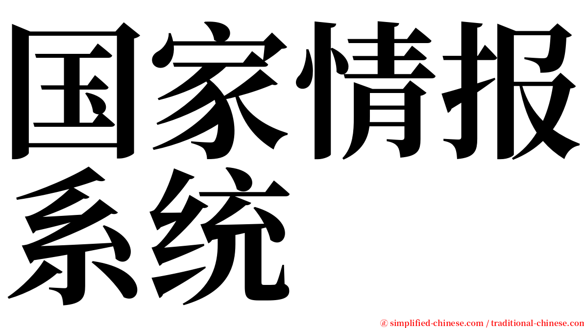 国家情报系统 serif font