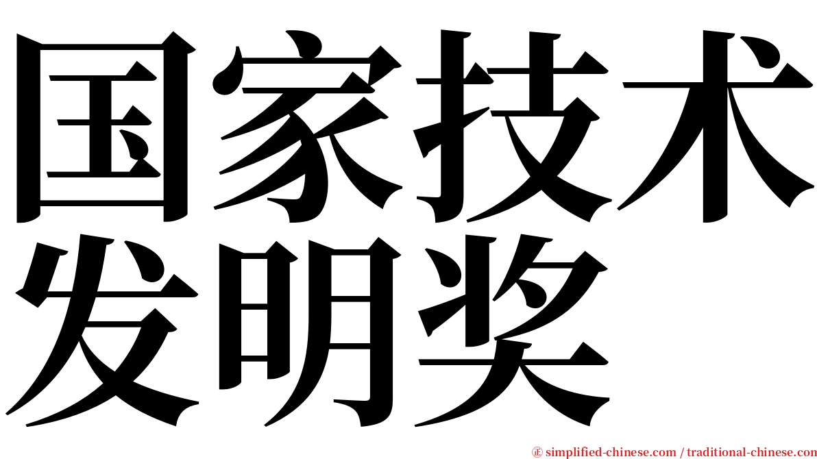 国家技术发明奖 serif font