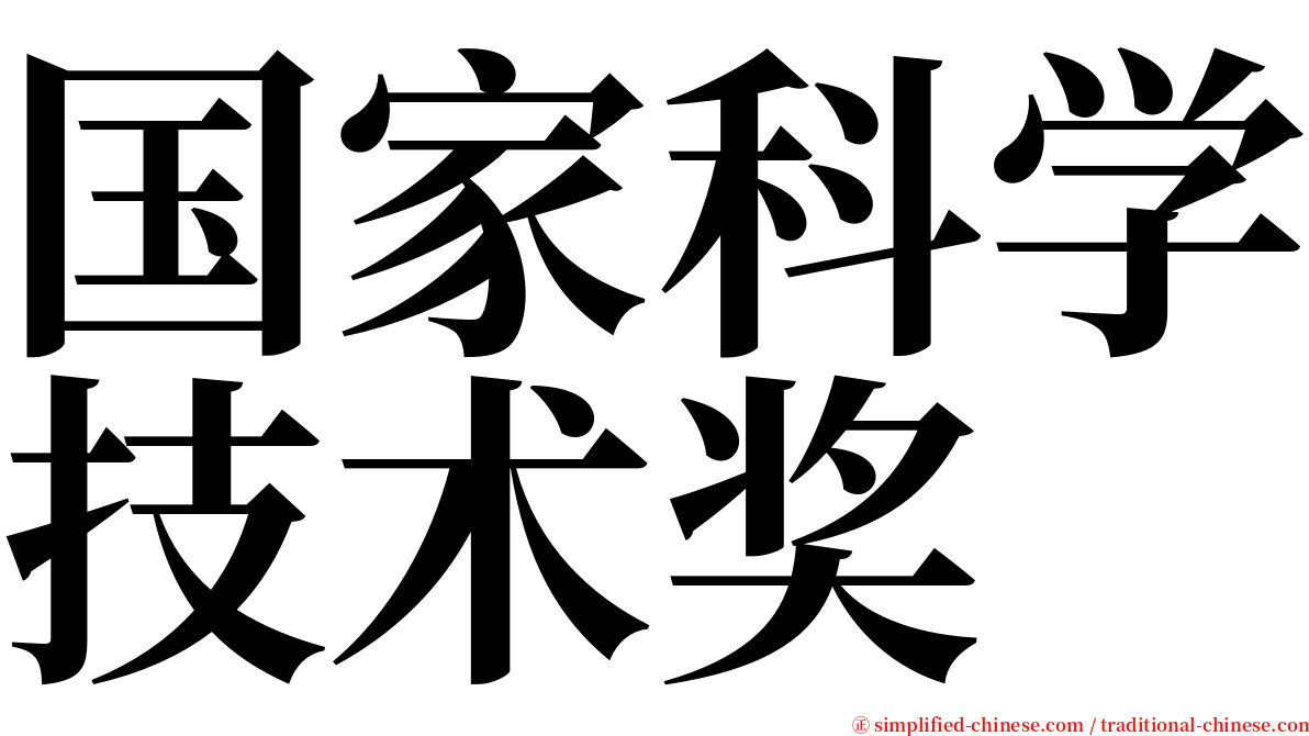 国家科学技术奖 serif font