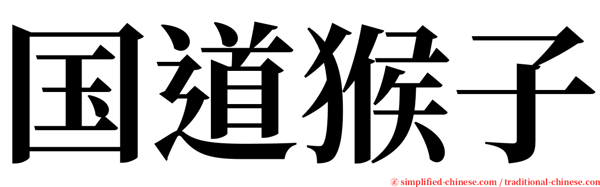 国道猴子 serif font