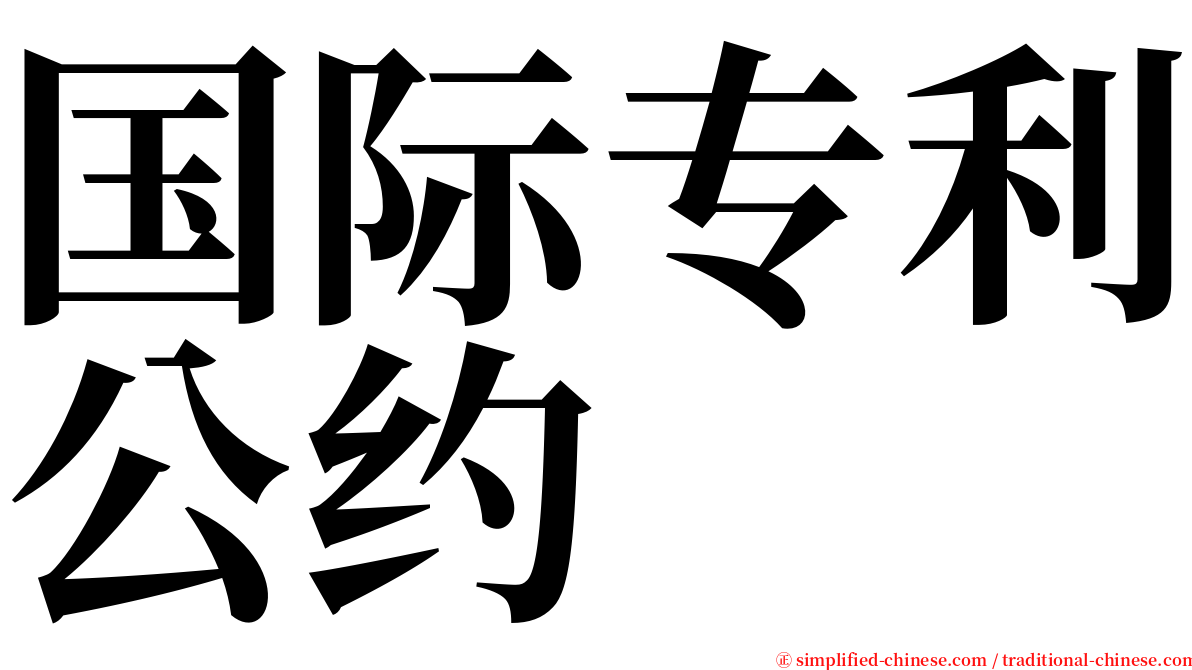 国际专利公约 serif font