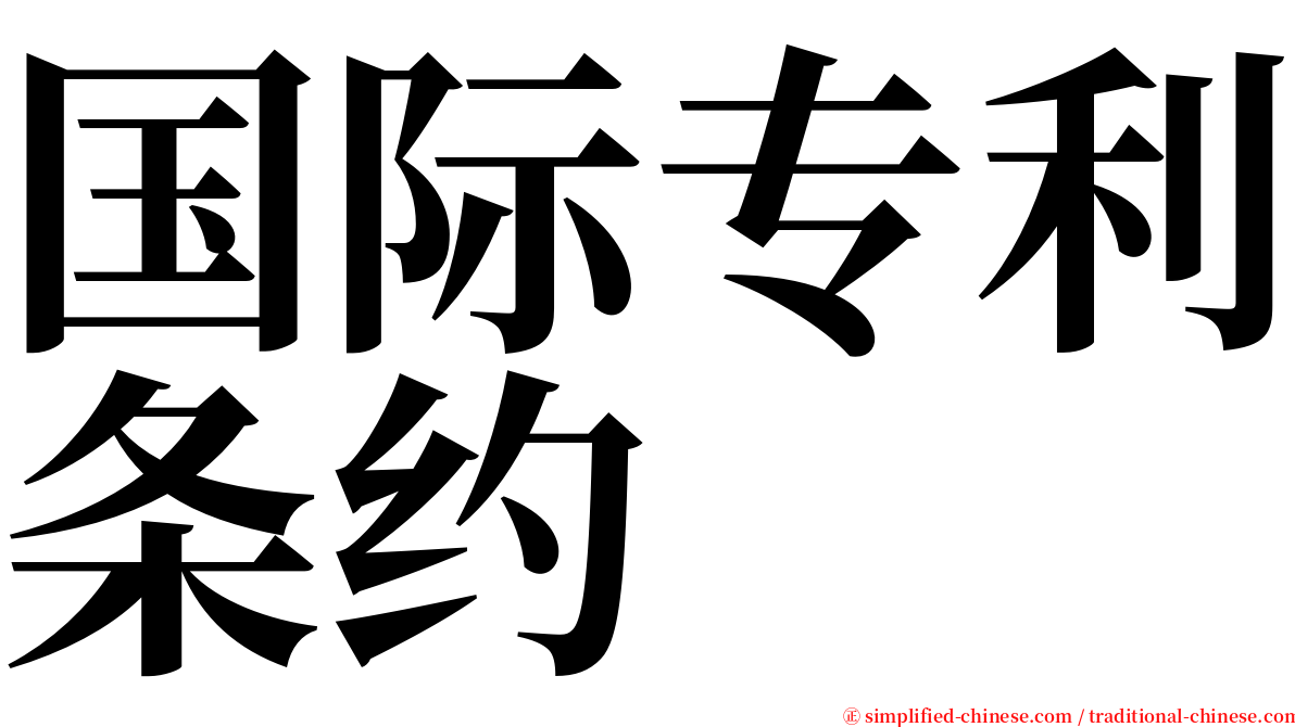 国际专利条约 serif font