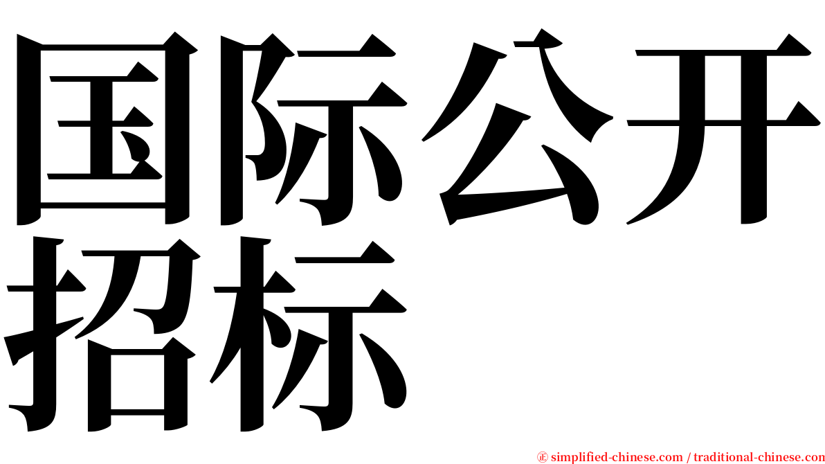 国际公开招标 serif font