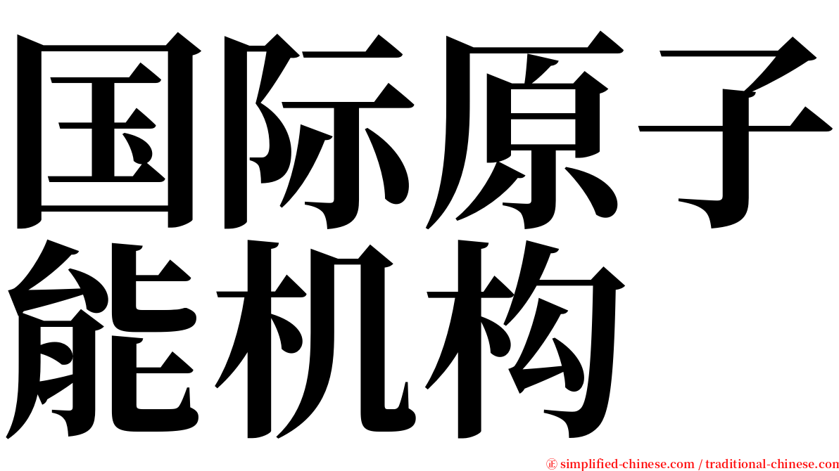 国际原子能机构 serif font