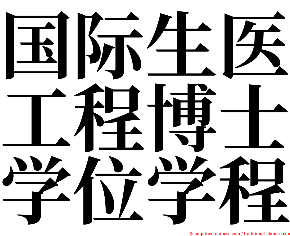 国际生医工程博士学位学程 serif font