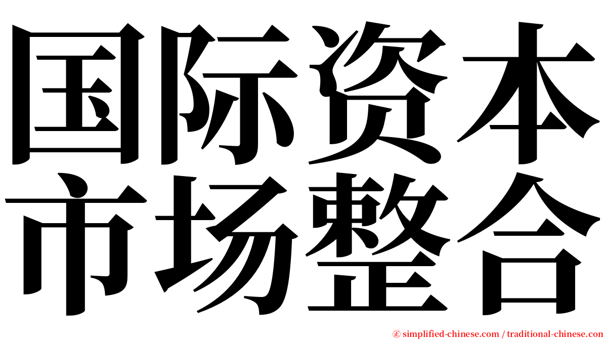 国际资本市场整合 serif font