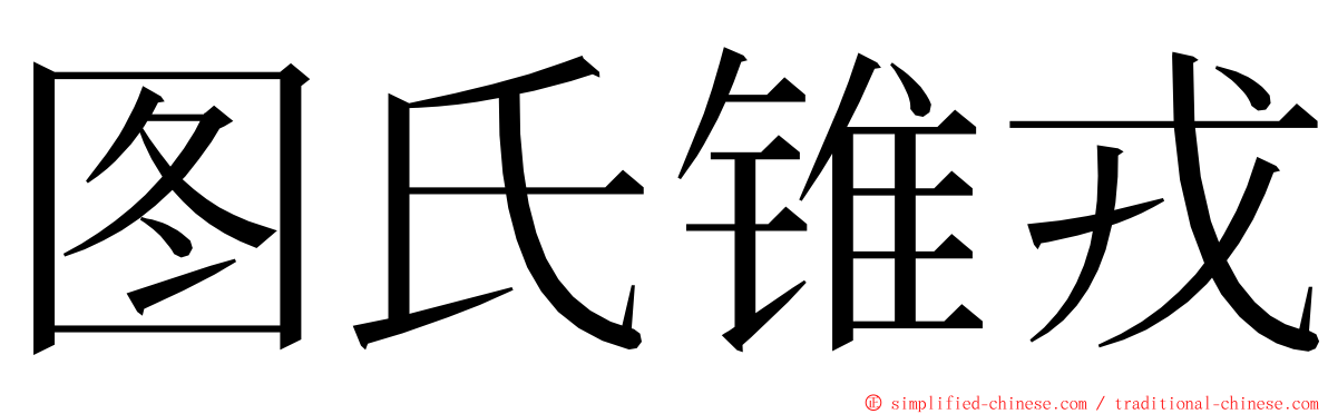 图氏锥戎 ming font