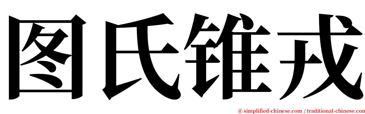 图氏锥戎 serif font