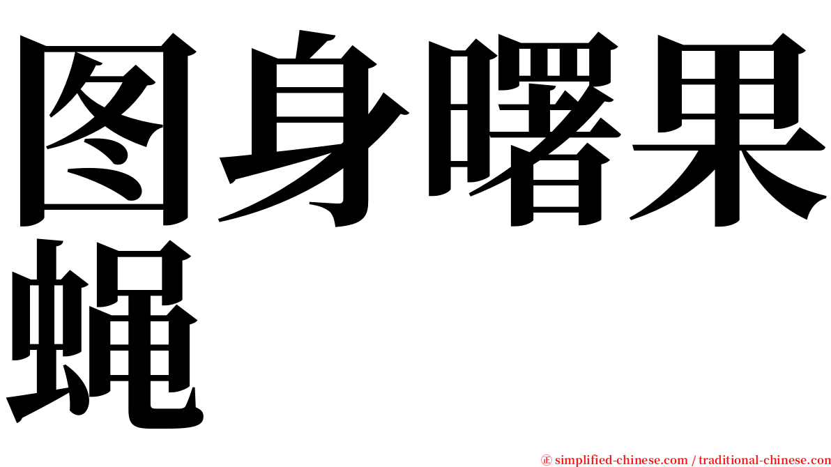 图身曙果蝇 serif font