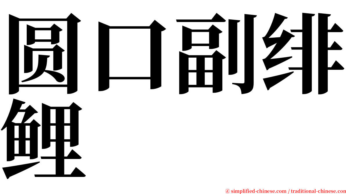 圆口副绯鲤 serif font