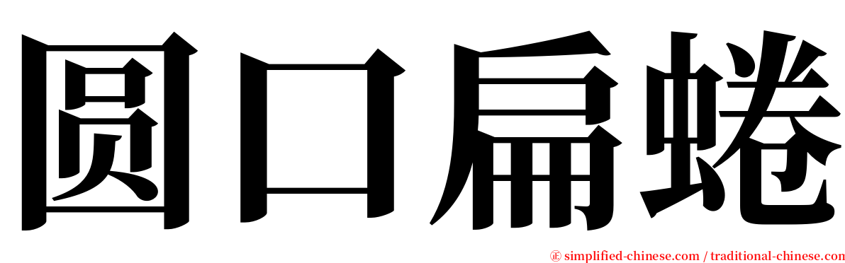 圆口扁蜷 serif font