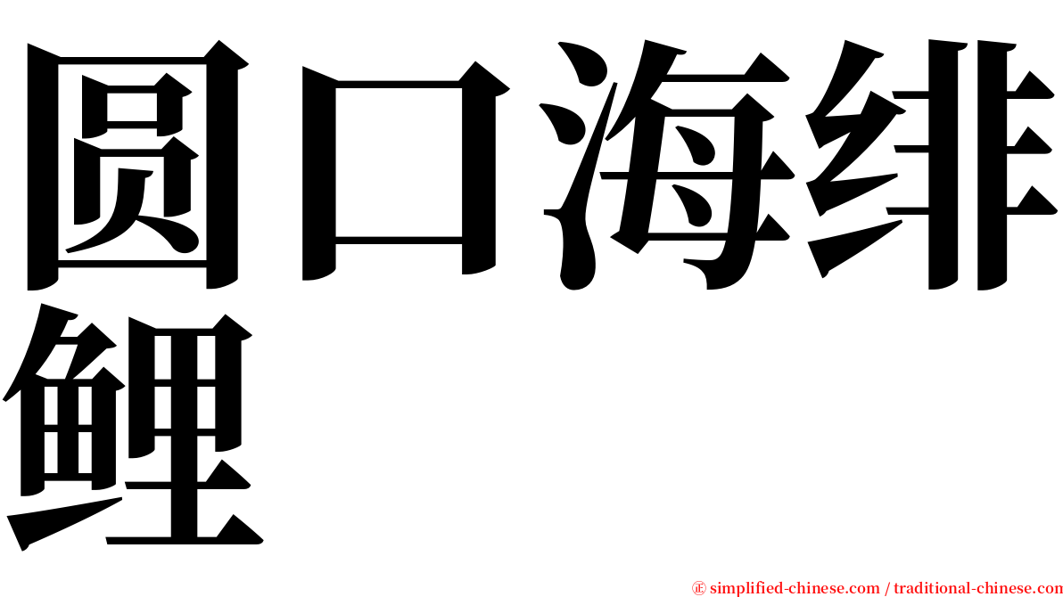 圆口海绯鲤 serif font