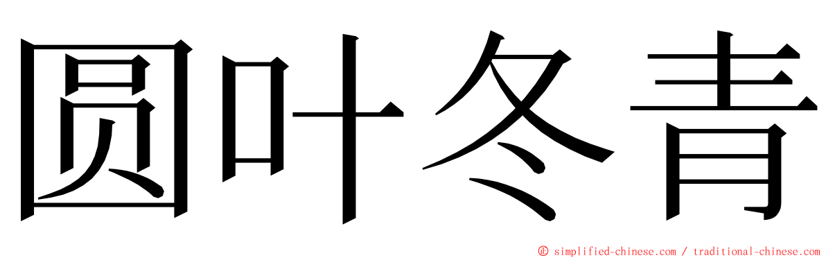 圆叶冬青 ming font