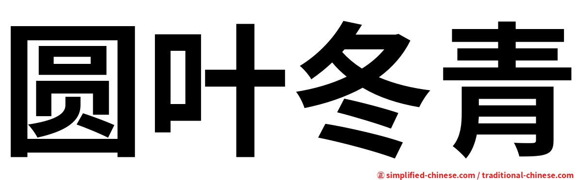 圆叶冬青