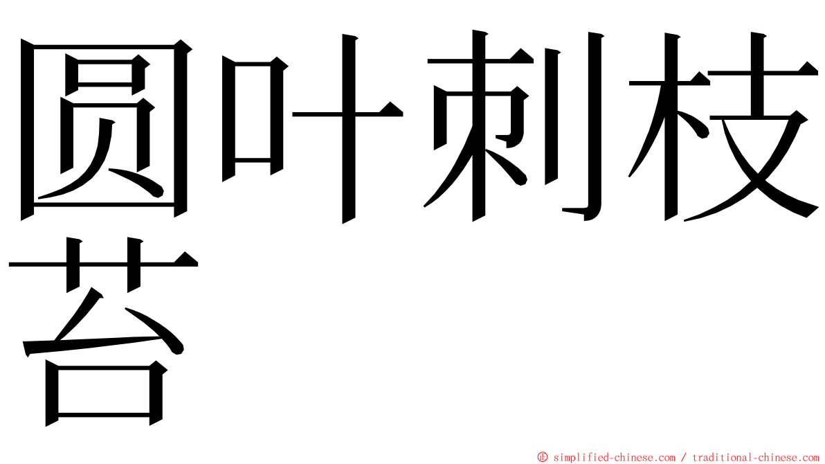 圆叶刺枝苔 ming font