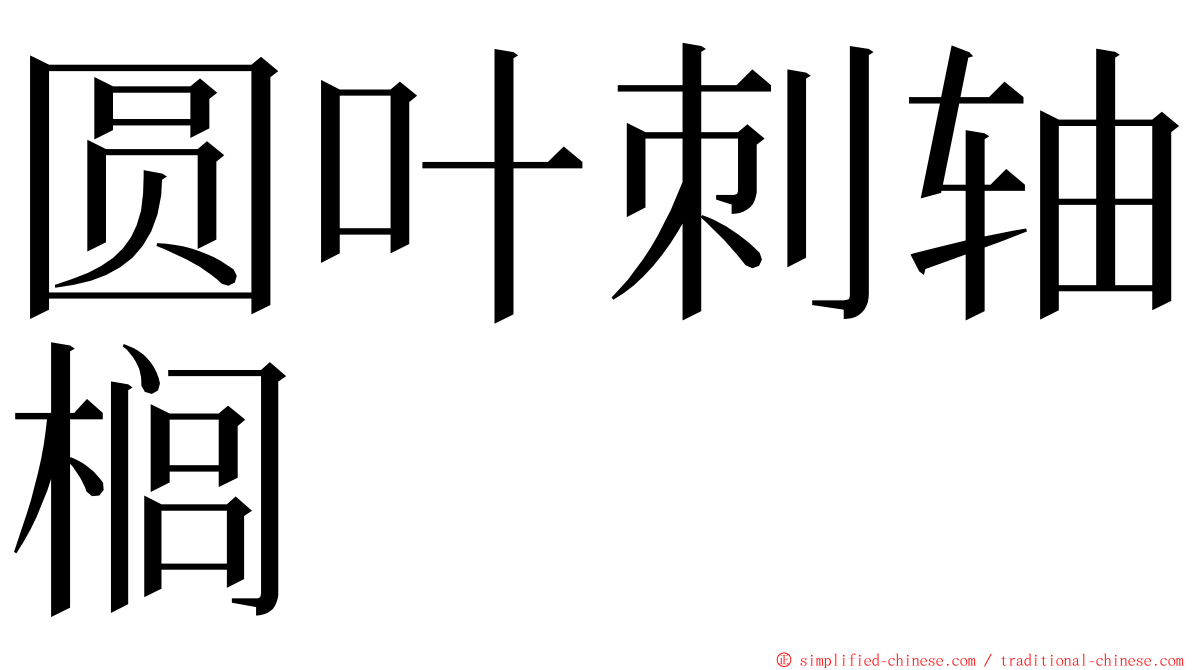 圆叶刺轴榈 ming font