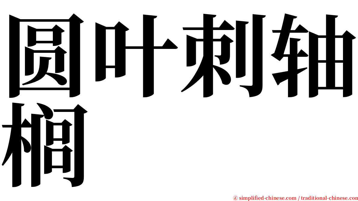 圆叶刺轴榈 serif font