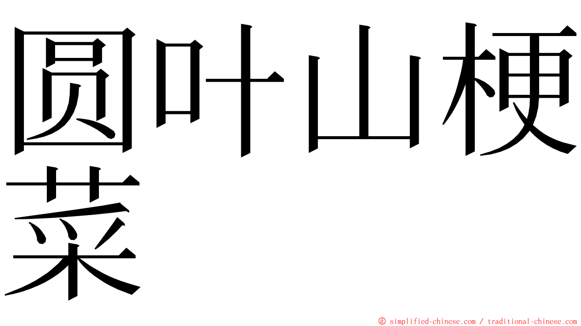 圆叶山梗菜 ming font