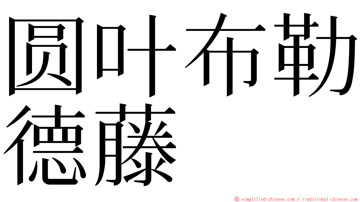 圆叶布勒德藤 ming font