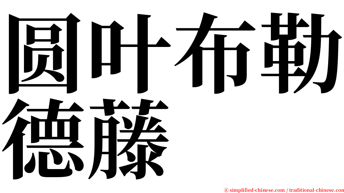 圆叶布勒德藤 serif font