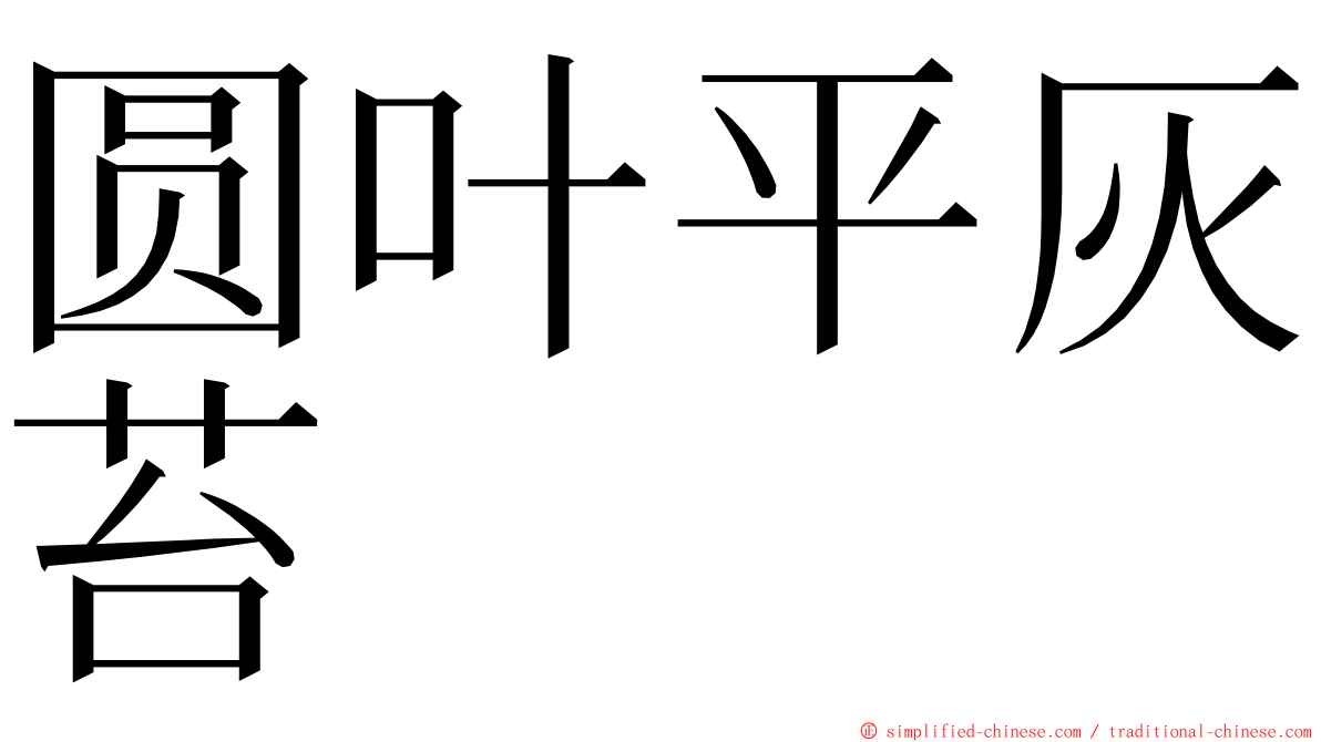 圆叶平灰苔 ming font