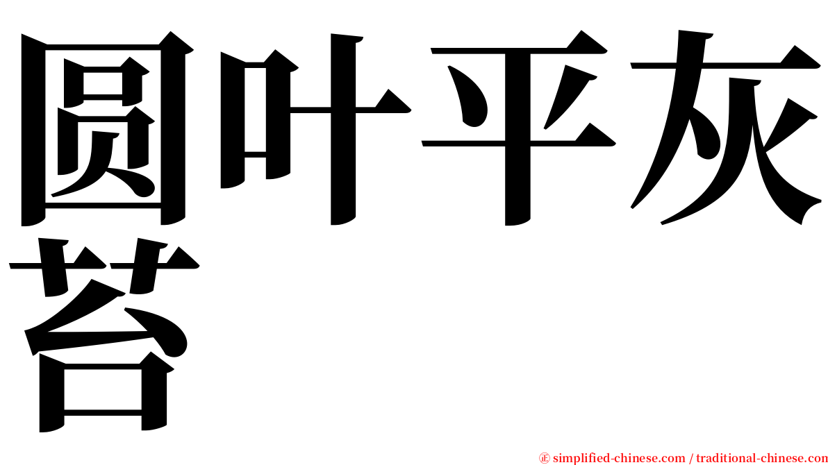 圆叶平灰苔 serif font