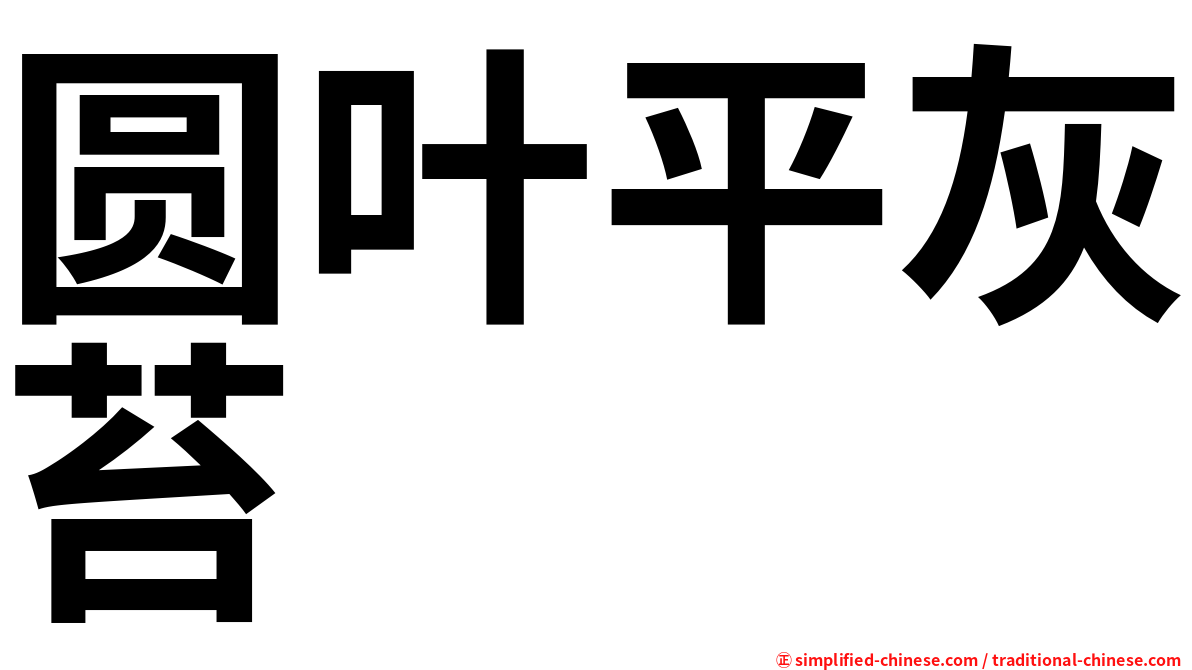 圆叶平灰苔