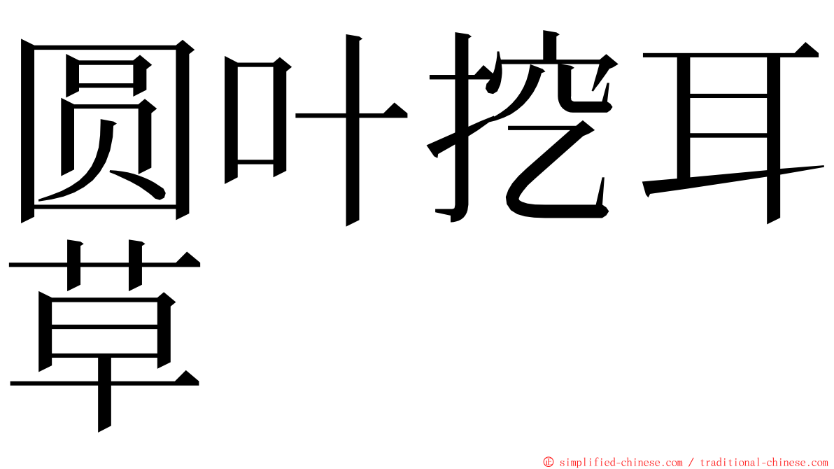 圆叶挖耳草 ming font