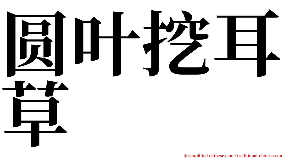 圆叶挖耳草 serif font