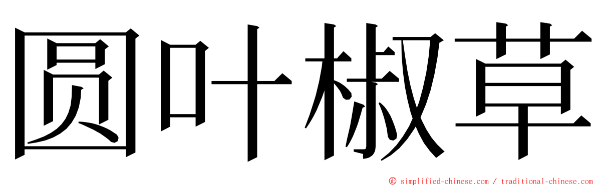 圆叶椒草 ming font