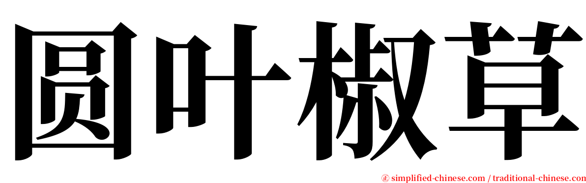 圆叶椒草 serif font