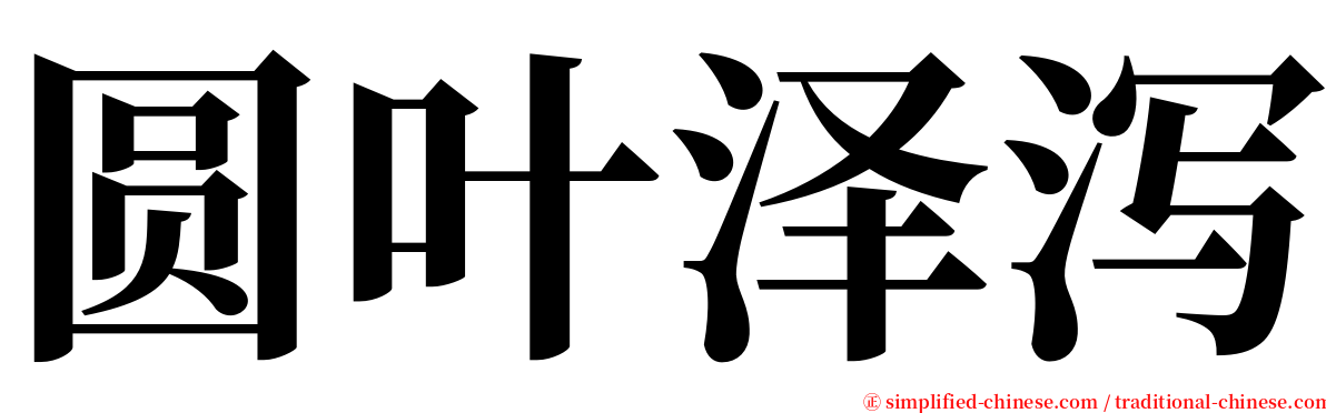 圆叶泽泻 serif font