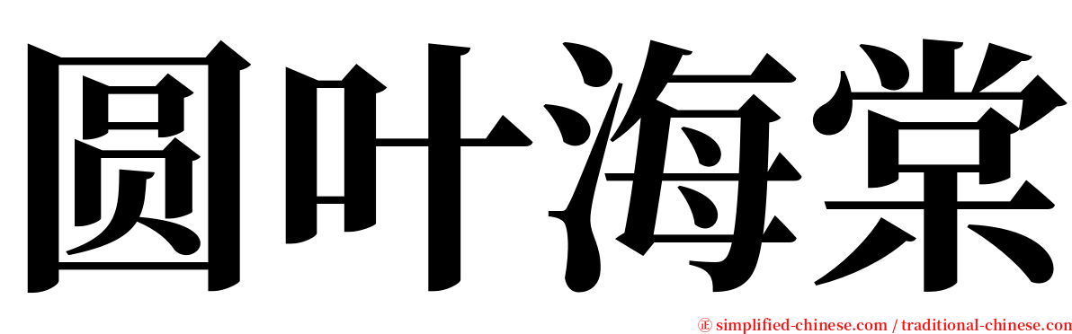 圆叶海棠 serif font