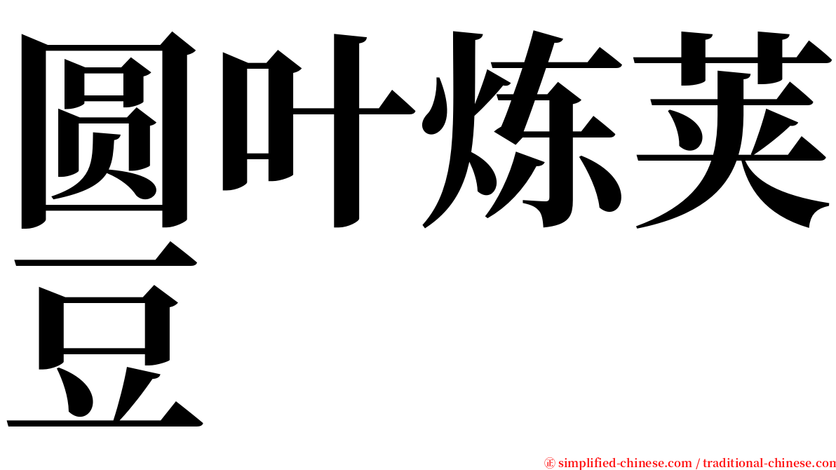 圆叶炼荚豆 serif font