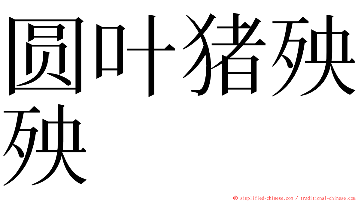 圆叶猪殃殃 ming font