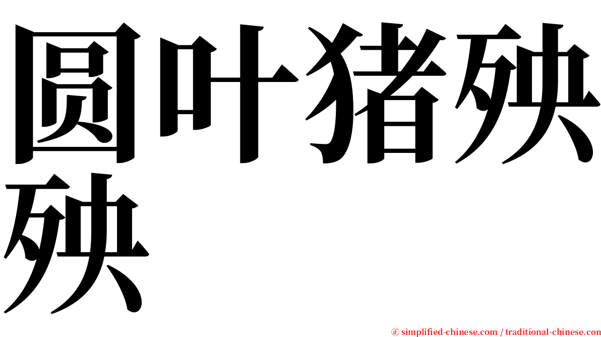 圆叶猪殃殃 serif font