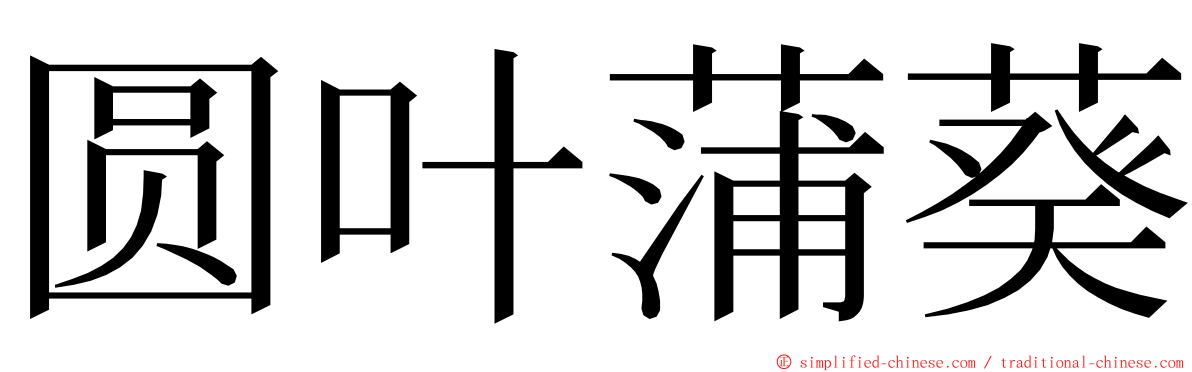圆叶蒲葵 ming font