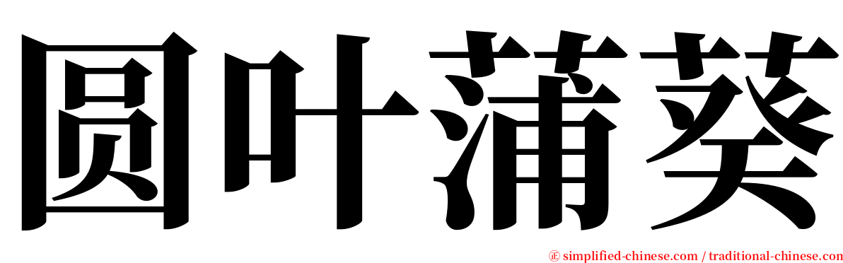 圆叶蒲葵 serif font