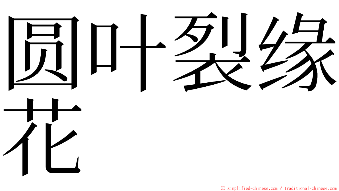 圆叶裂缘花 ming font