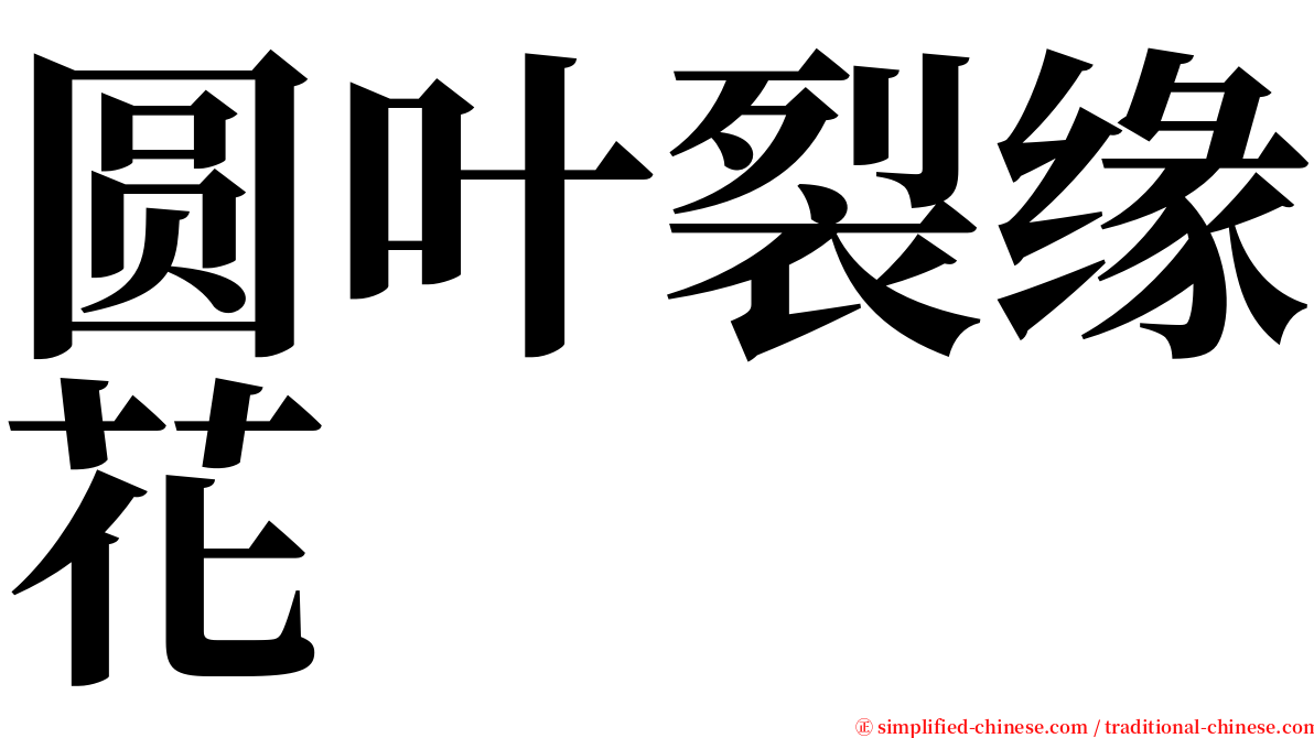 圆叶裂缘花 serif font