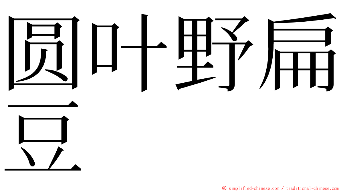 圆叶野扁豆 ming font