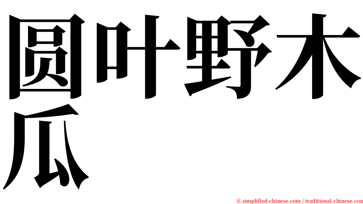 圆叶野木瓜 serif font