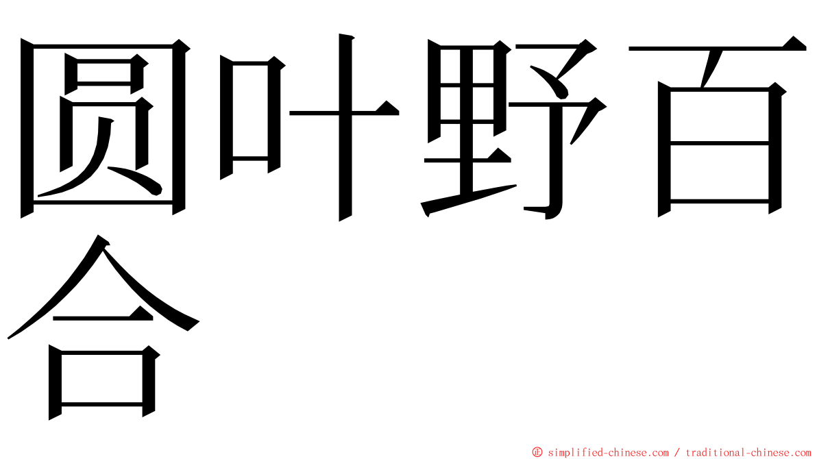 圆叶野百合 ming font