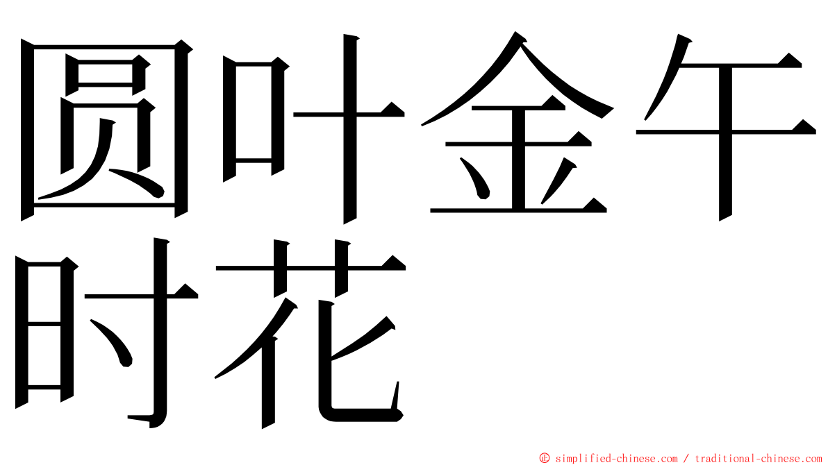 圆叶金午时花 ming font